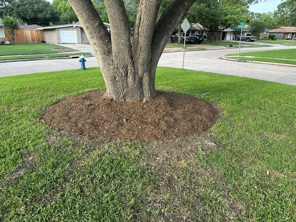 Completed lawn care project