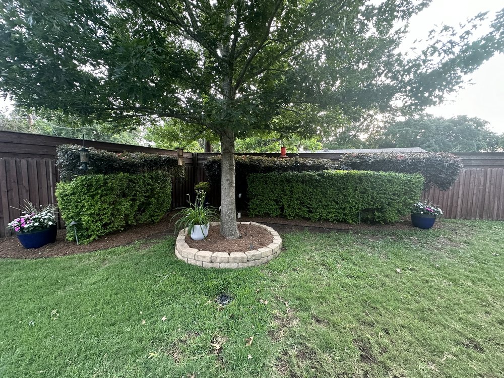 Completed lawn care project