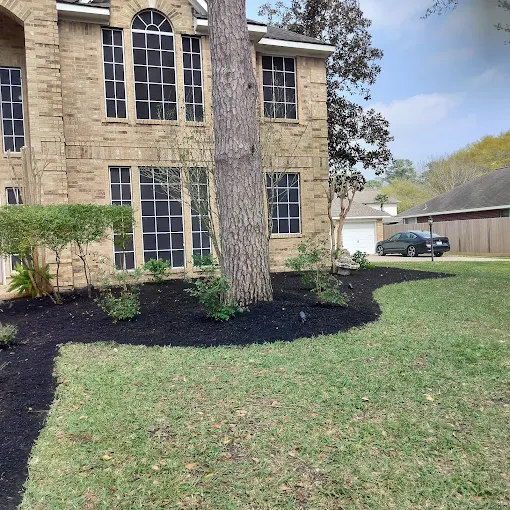 Tree Rings & Landscaping