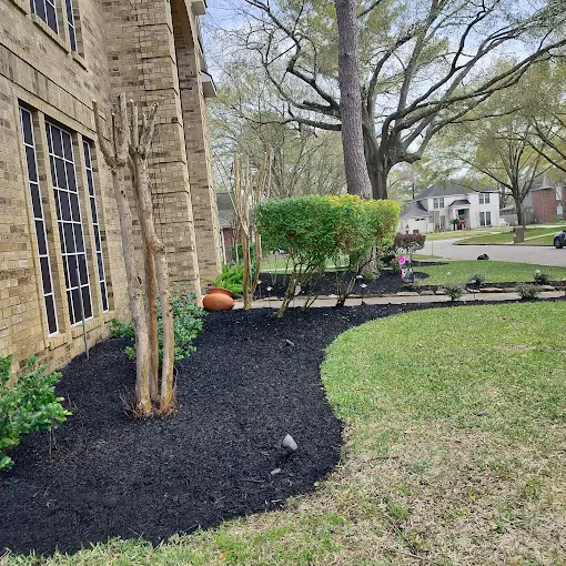 Completed lawn care project