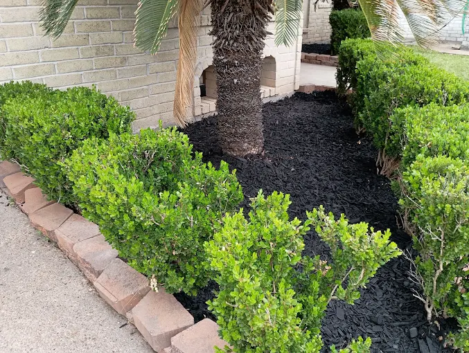 Completed lawn care project